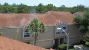 Roof Cleaning Palm Harbor