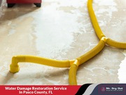 Water removal services | Mr Dry Out
